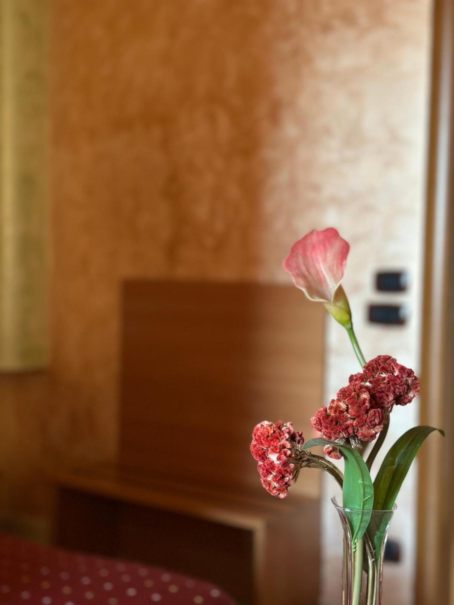 Hotel Il Giardino Degli Aranci Нола Екстериор снимка